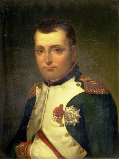 Napoleon Bonaparte von Jacques Louis David